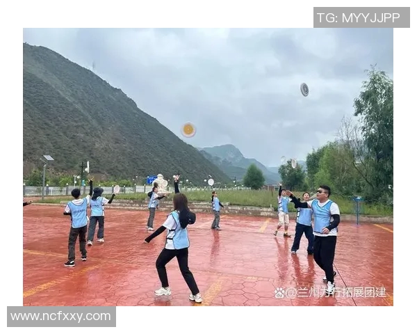 飞盘竞技的魅力与挑战：深入探讨深圳飞盘队的战术与团队协作